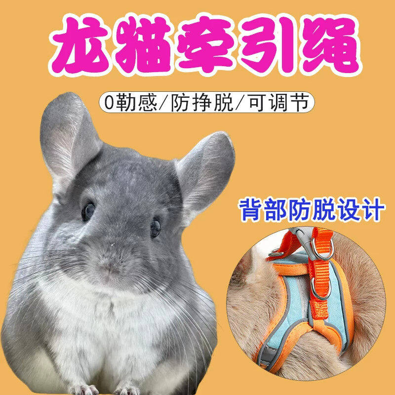 龙猫牵引绳专用背心式牵引外出训练背带式可调节锁扣项圈加长小型