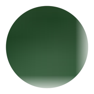 将军菊苣种子大叶菊苣草籽多年生四季牧草猪牛羊鸡鸭鹅鱼草种子籽