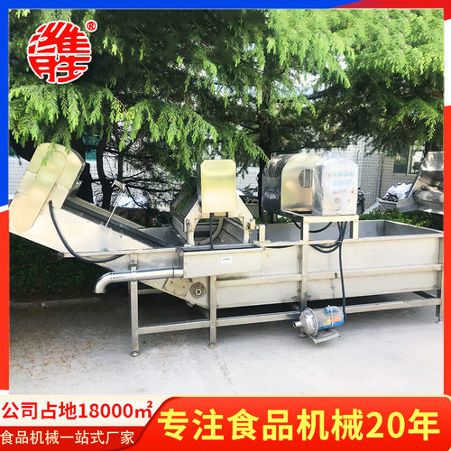 大型循环气泡清洗机 翻浪果蔬清洗机 小龙虾芹菜圣女果清洗机
