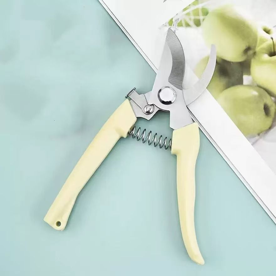 不锈钢修枝采果疏果摘果剪园林工具花椒盆栽树枝剪刀修花剪花