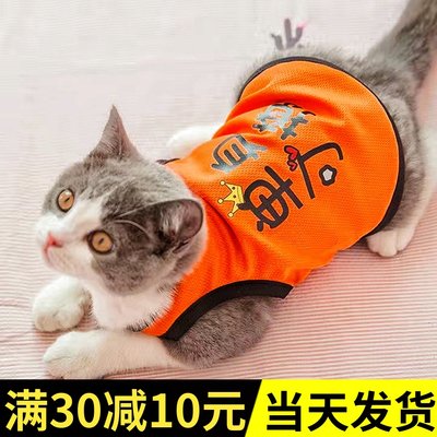 猫咪衣服防掉毛夏季薄款背心狗狗英短蓝猫幼猫的猫猫可爱宠物用品