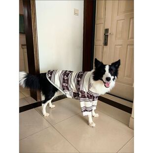 客户爱犬实拍图狗狗衣服大型犬秋冬卫衣金毛马犬边牧杜宾圣诞衣服