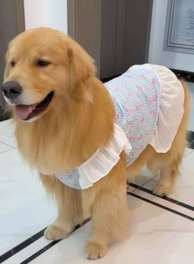夏季薄款网纱透气中大型犬吊带裙