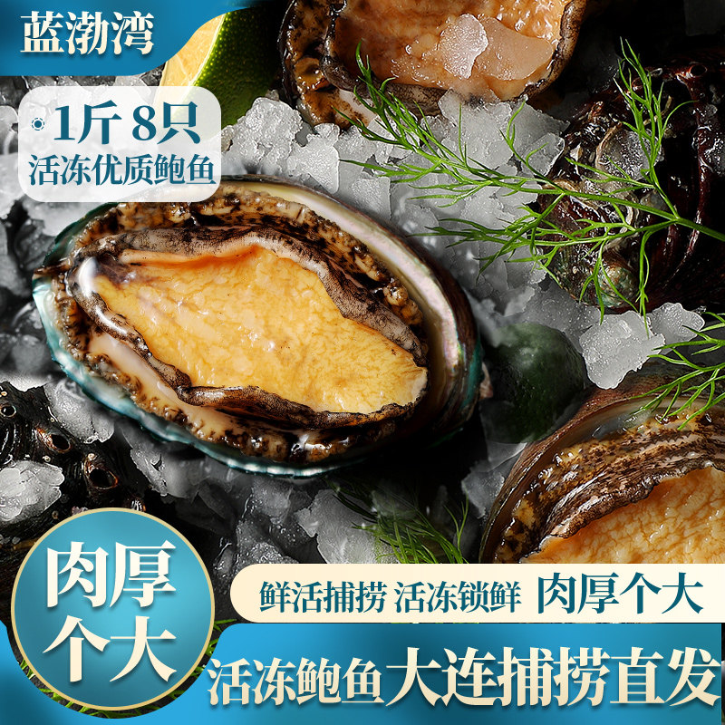 蓝渤湾新鲜冷冻特大冻生鲜鲍鱼