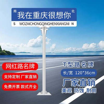 定制路名牌城市指路牌网红打卡地道路交通指示牌公路网红路名牌