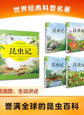 昆虫记少年简读版 套装全4册 著名昆虫学家法布尔的传世之作 叙述笔调轻快 图文井茂 集文学性和科学性于一体 带你走进昆虫的世界