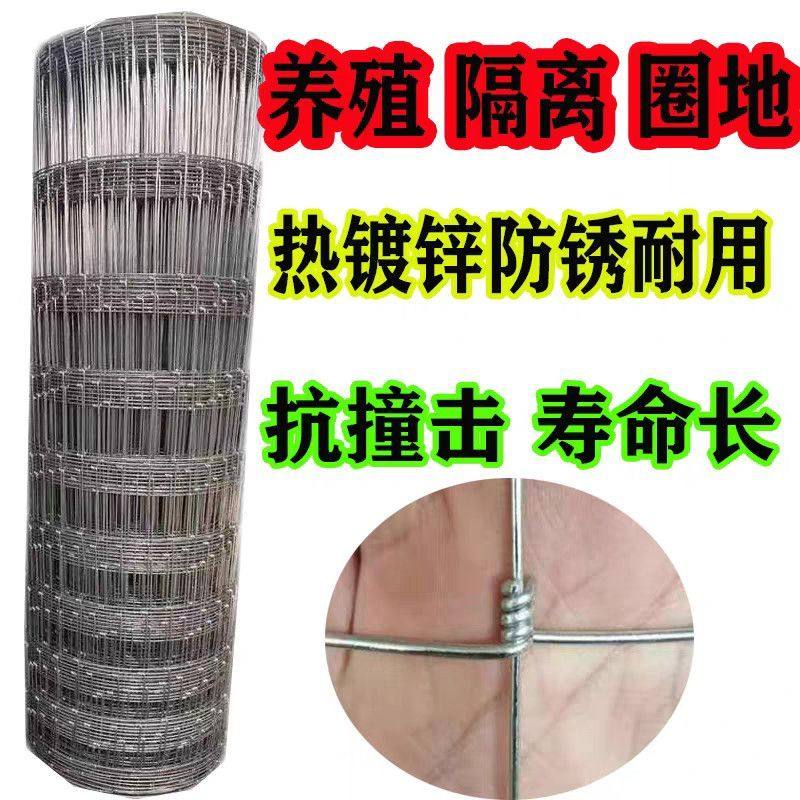 镀锌铁丝网防锈牛栏钢丝网护栏网牛羊果园防护网养牛养殖网围栏,五金/工具,护栏/隔离栏,淘宝优惠券,粉丝福利购,淘宝优惠卷