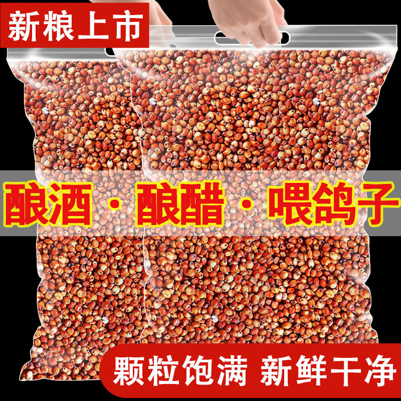 新货带皮红高粱米去壳未脱皮红高梁酿酒高粱喂鸽子饲料2500g散装