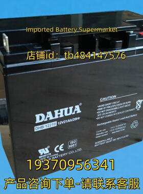 DAHUA蓄电池 DAHUA BATTERY DHB12210 12V21AH/20HR 电池