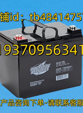 INTERSTATE BATTERIES 蓄电池 SLA1156 12V 35AH 20HR AGM 电池