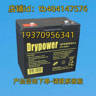 Drypower蓄电池 Drypower 12SB55CL 12V 55AH 电池