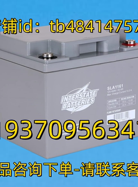 INTERSTATE BATTERIES 蓄电池 SLA1161 12V 44AH 20HR AGM 电池