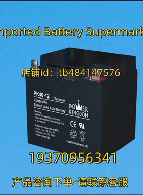 POWER KINGDOM 蓄电池 POWERKINGDOM PS40-12 12 Volt 40Ah 12V