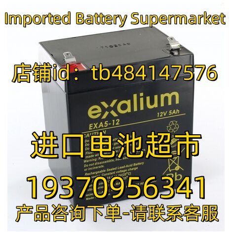 EXALIUM蓄电池 EXA5-12 12V5AH 应急电源 医疗设备免维护电池