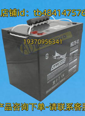 FULLRIVER 蓄电池 HGL75-12 12VOLT 75AH 450CCA 12V75AH电池