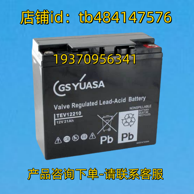GSYUASA蓄电池 GSYUASA TEV12210 12V21AH 电池