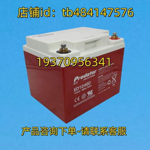 BATTERIES ED12480 12VOLT predator 20HR AGM 48AH 12V 蓄电池