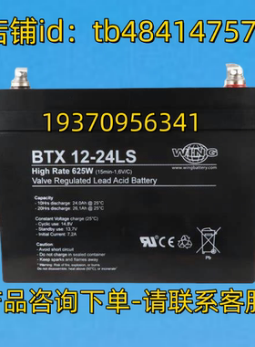 WING 蓄电池 wingbattery BTX 12-24LS High Rate 625w 12V 24AH