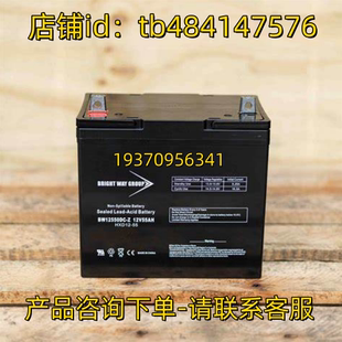 BRIGHT WAY GROUP 蓄电池 BW12550DC-Z 12V55AH HX12-55 电池