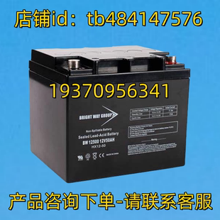 蓄电池 BW12500 12V50AH BRIGHT GROUP HX12 电池 WAY