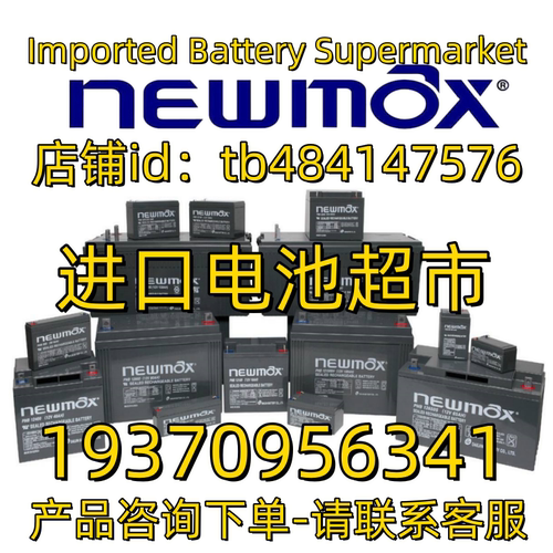 NEWMAX 蓄电池 FNC PNB12120 12400 12800 12V7 100 200AH电池