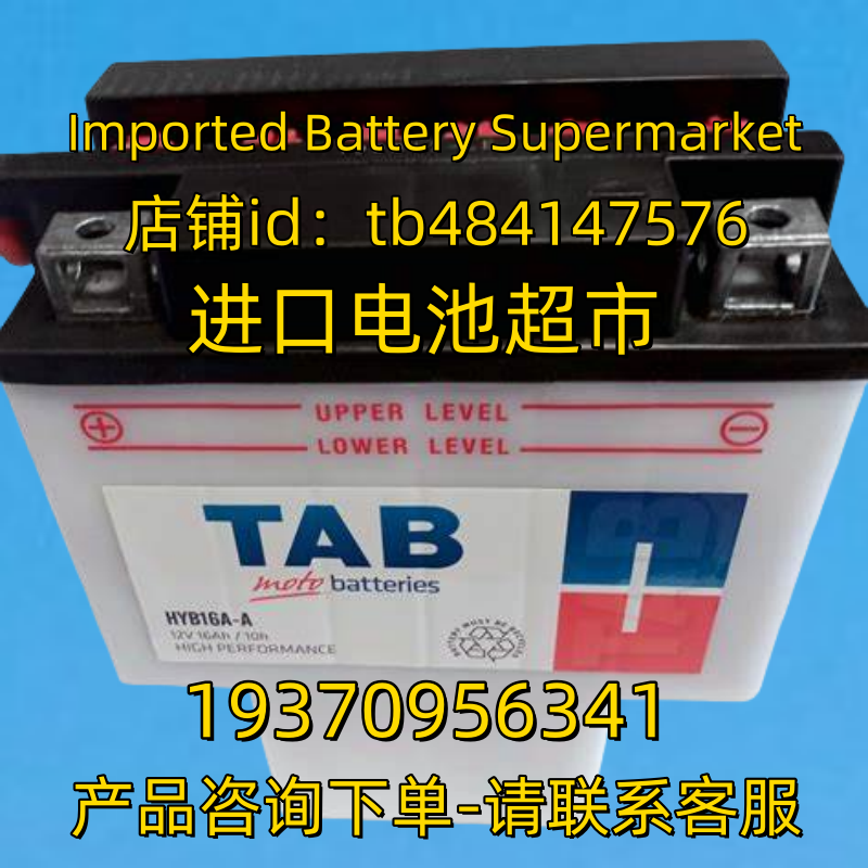 TAB蓄电池 TAB HYB16A-A 12V16AH BATTERIES 电池