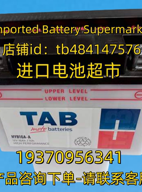 TAB蓄电池 TAB HYB16A-A 12V16AH BATTERIES 电池