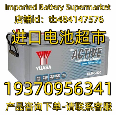 YUASA 蓄电池 ACTVE DLMC-230 12V 230AH 1350A船舶 房车驻车电池
