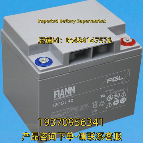 FIAMM蓄电池 FIAMM BATTERY FGL 12FGL42 12V42AH 电池
