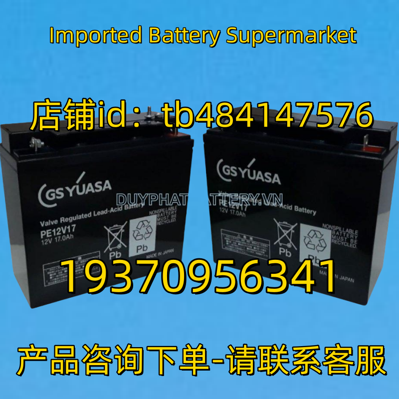 GSYUASA蓄电池 GSYUASA BATTERY PE12V17 12V 17.0AH 电池