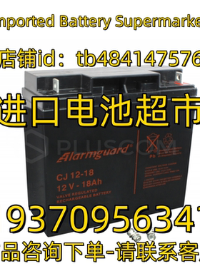 Alarmguard蓄电池 VRLA BATTERY CJ12-18 12V18AH 免维护电池