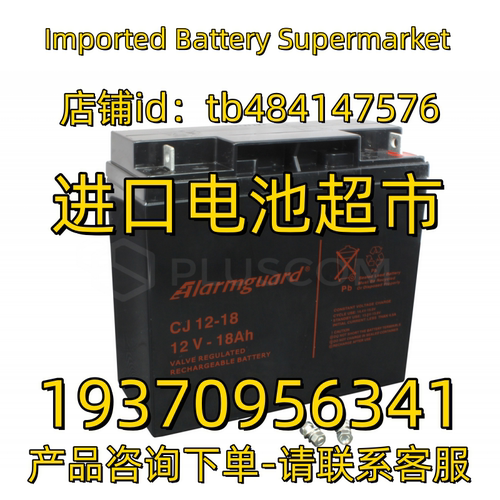 Alarmguard蓄电池 VRLA BATTERY CJ12-18 12V18AH 免维护电池