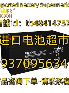 POWER KINGDOM蓄电池 PK250-12 12V Volt 250AH 太阳能逆变器电池