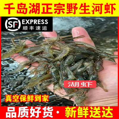 千岛湖纯本地河虾湖虾新鲜淡水鱼小大白虾土虾小明虾顺丰包邮500g