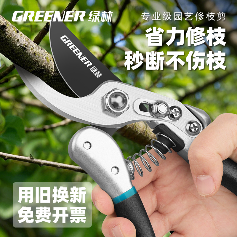 專用果枝剪果樹剪刀修枝剪子修花