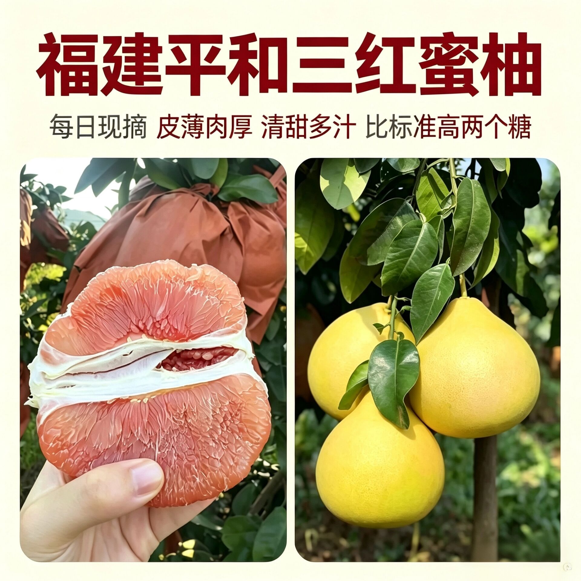 三红蜜柚福建平和红心柚子琯溪蜜柚新鲜水果采摘整箱包邮当季水果