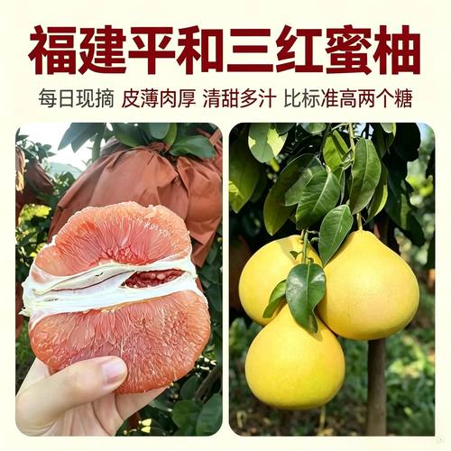 平和琯溪蜜柚红心柚当季水果新鲜