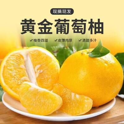 福建漳州黄金葡萄柚皮薄肉多爆汁