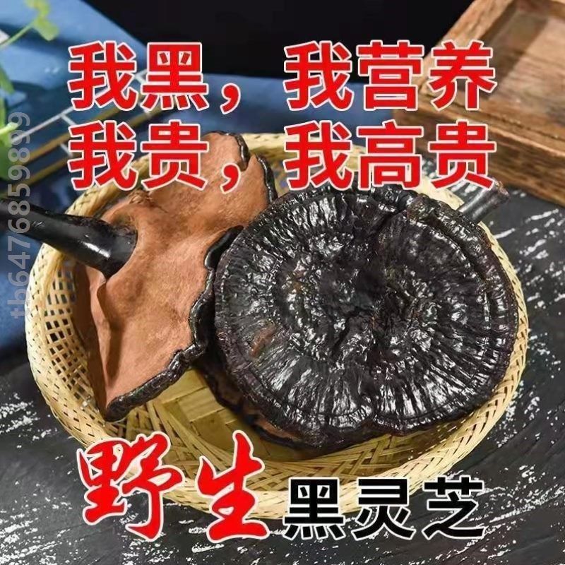 长白山野生黑灵芝纯天然整枝林芝正宗正品特级切R片泡酒泡水煲汤