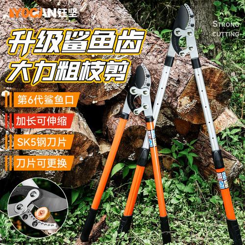 钰坚修枝剪树枝剪刀园艺大剪