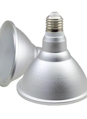 新款LEDPAR灯PAR38射灯12W15W18W帕灯射灯酒店用防水户外灯