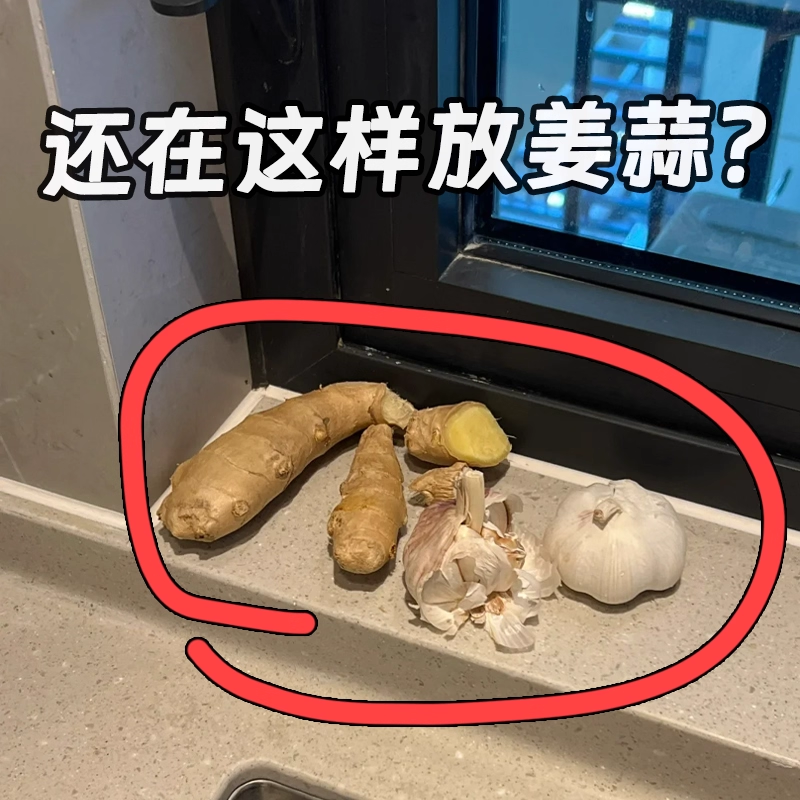 【还在这样放姜蒜？】吸盘收纳盒