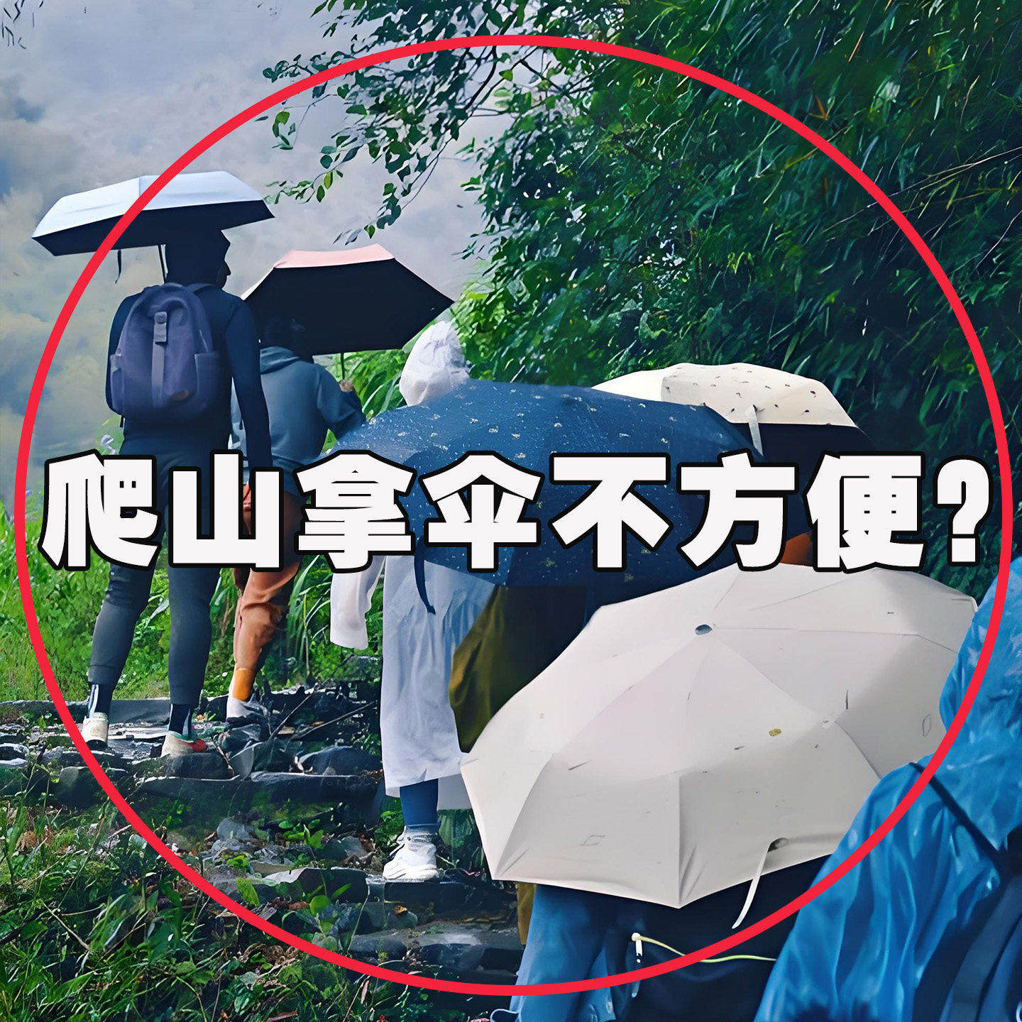 一次性雨衣儿童卡片便携防水宝宝成人雨披加厚小学生上其他收纳袋