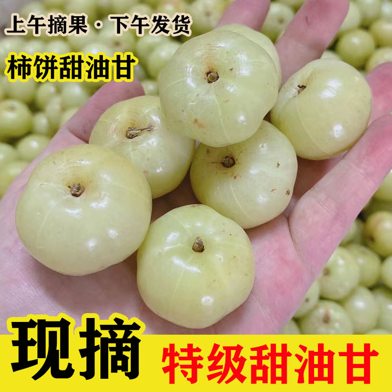 新鲜柿饼甜油甘果潮汕余普宁崩坎余甘果甜种油柑果滇橄榄酸甜水果