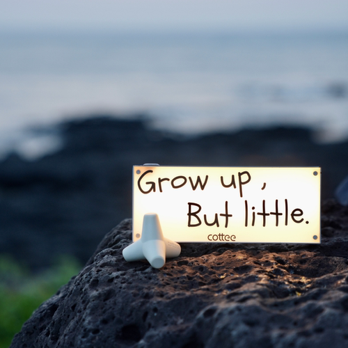 cottee消波块扩香石风平浪静