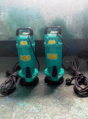 厂家直销潜水泵单相人民Ⅴ38016-0.37QDX1.5Ⅴ小型220潜水电泵-水