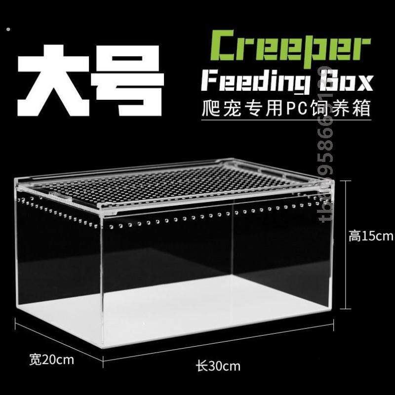 蟋蟀专用饲养盒易组装压克力蜘蛛饲养小昆虫饲养盒盒透明加厚防逃