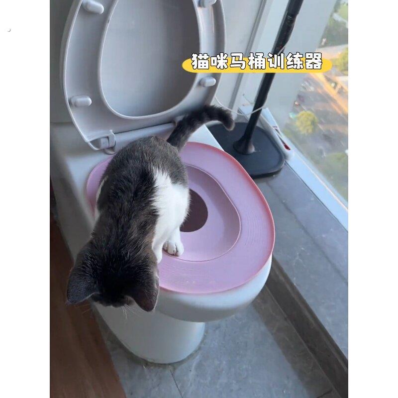 猫马桶训练器幼猫上厕所坐便器免清理猫砂盆如厕蹲坑引导器可拆卸