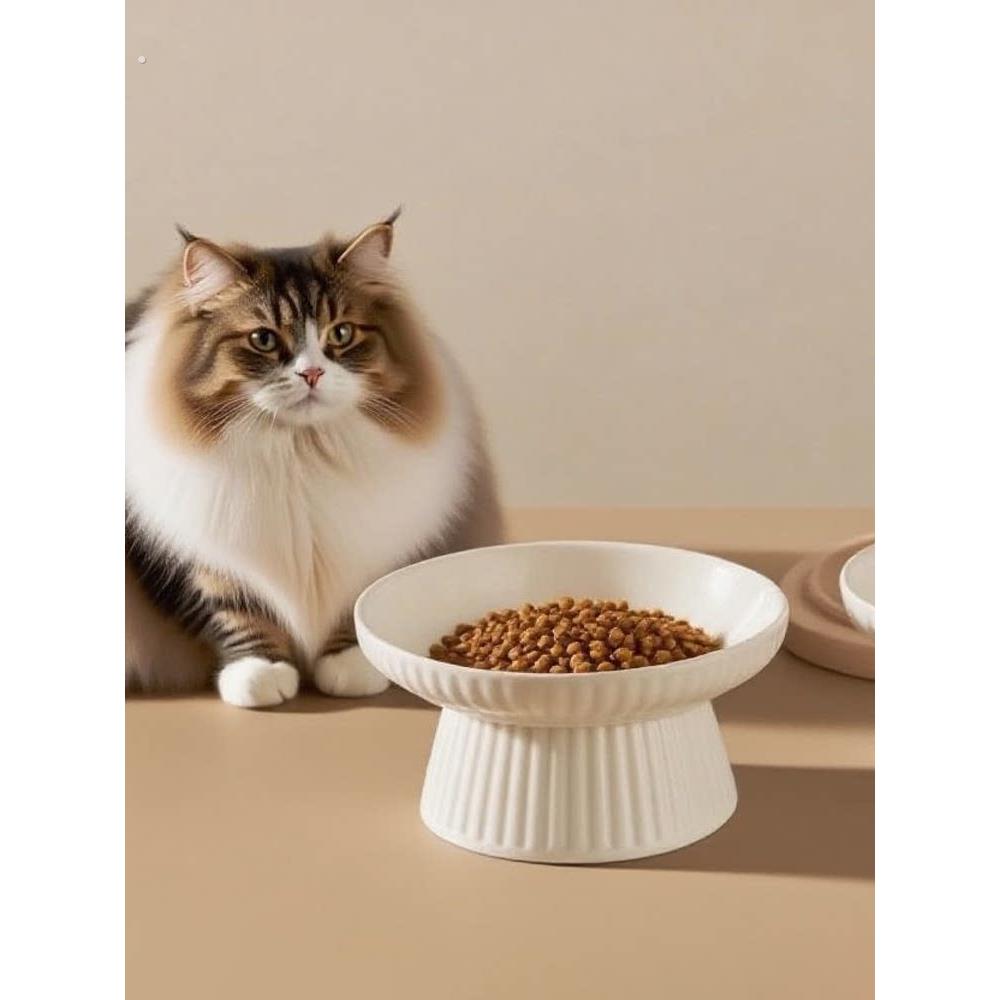 陶瓷猫狗碗保护颈椎防打翻猫食盆宠物狗喝水碗高级感高脚宠物盘子