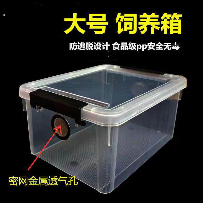 养蚯蚓专用箱睫角守宫鬃狮蜥蜴饲养箱人渣盒爬宠养殖箱养蚕的盒子